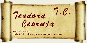 Teodora Čeprnja vizit kartica